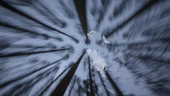 难以名状的意思