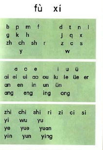 声母,韵母表,整体认读音节有哪些?