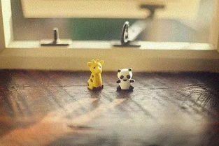 形容速度快的成语有哪些?