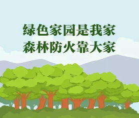 森林防火小常识8条是什么?