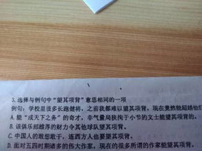 望其项背的意思是什么