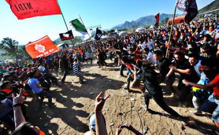 pogo是什么意思啊?