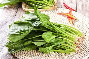 菠菜可以炒着吃吗?
