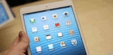 ipad2021充满电显示什么标志