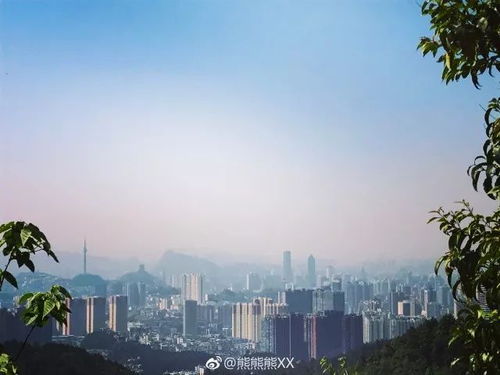 哪些城市属于北方