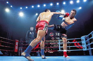 散打和搏击的区别?