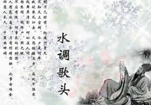 低绮qi户还是yi 权威?