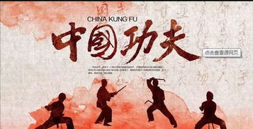 中国功夫 用英文 怎么说