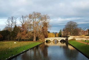 再别康桥的作者是谁