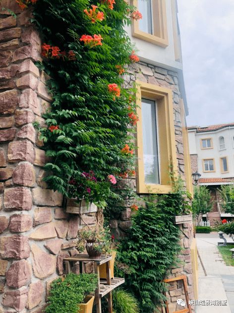 诗意栖居啥意思