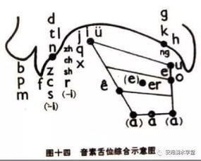 “翘”字怎么读