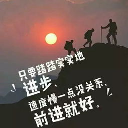 凡心所向,素履以往全诗意思