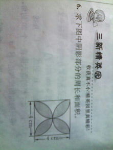 循规蹈矩的意思