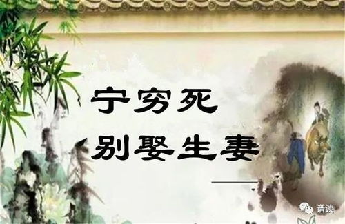 生妻指的是什么