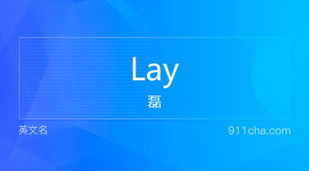 lay是什么意思?