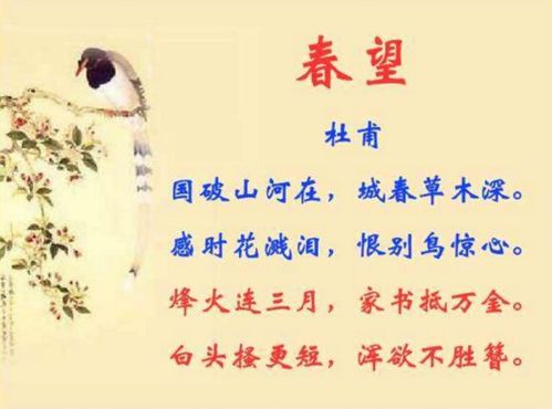 春望表达了诗人怎样的感情