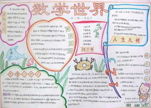 数学手抄报内容四年级下册
