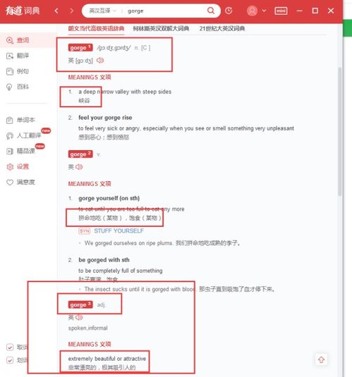 gorgeous什么意思