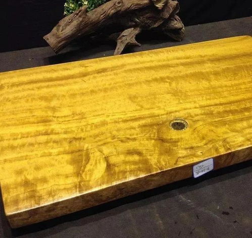 金丝楠木是什么树木