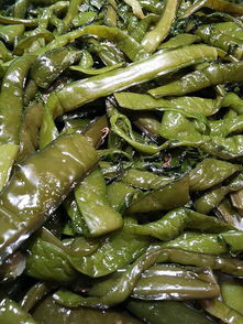 海带是不是发物?