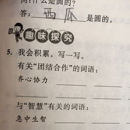 有什么词语
