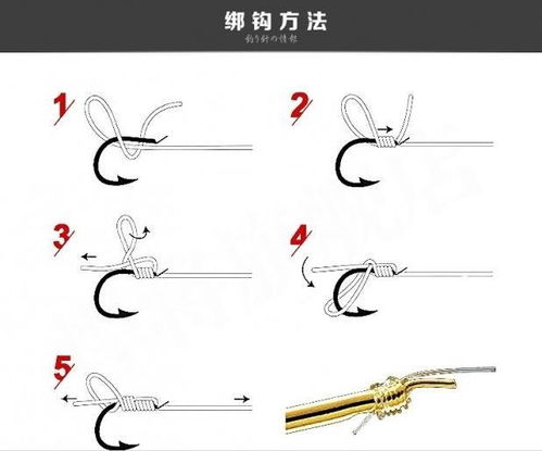 钓鲫鱼一般用几号钩,用几号线