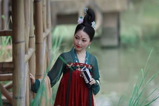 子宁不嗣音什么意思 子宁不嗣音是何意思