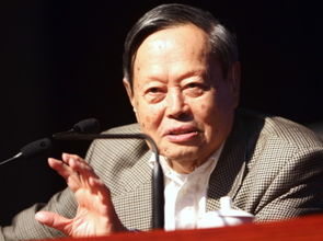 杨振宁的主要成就