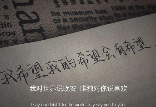 失而复得是什么意思?