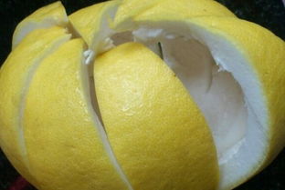 柚子做的美食