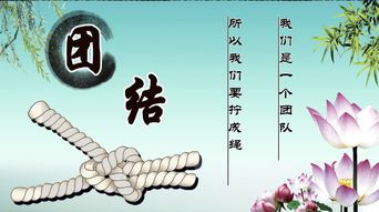 表示团结的词语有哪些?