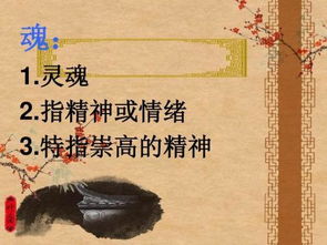 梅花魂在课文中是指什么