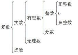 实数包括负数吗