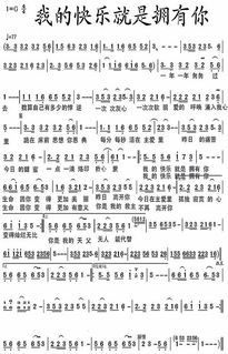 王若琳《有你的快乐》歌词