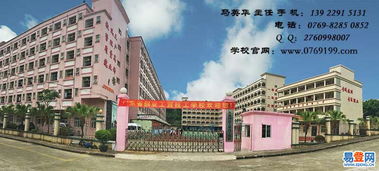 东莞最好的大学是哪一所