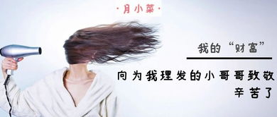 剪掉三千丝的诗句