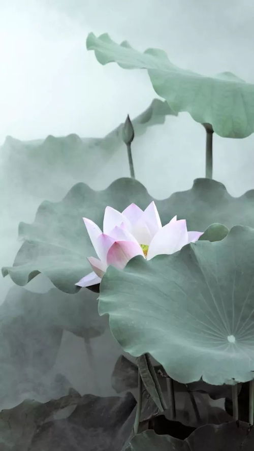 重荷是什么意思?