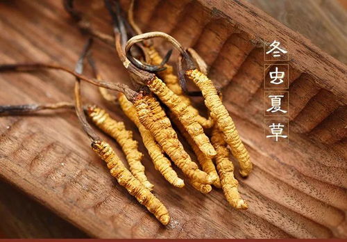 虫草的正确吃法及用量