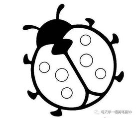 七星瓢虫怎么画简单又漂亮