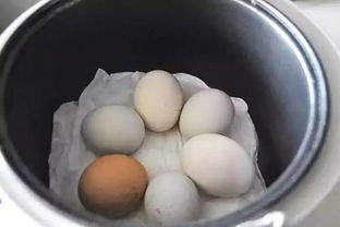 鸡蛋煮多久?