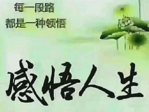 子非鱼安知鱼之乐什么意思 全文翻译及赏析是什么?