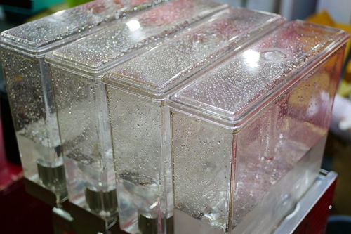 水晶棺是真空的吗