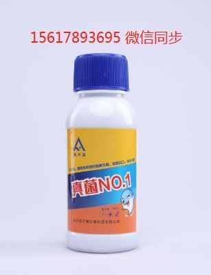去除水中的水霉菌方法,水霉病的预防方法