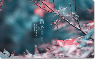 霜降的诗句，二十四节气霜降的诗句