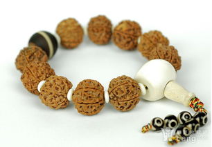 金刚菩提怎么鉴别真假