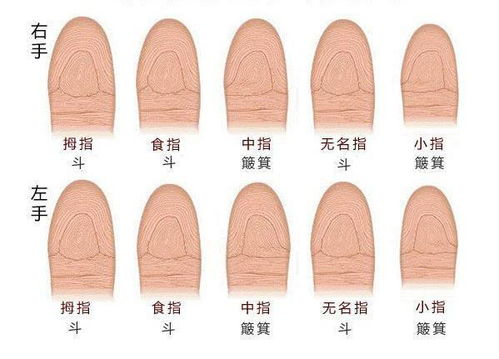 十斗十簸箕传说是什么?。。详细点。