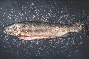 梦见捡鱼是什么预兆