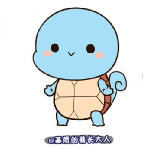 杰尼龟怎么画