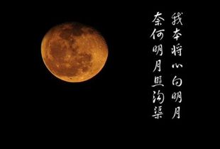 “我以我心照明月,奈何明月照沟渠”是什么意思?