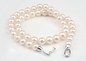 珍珠项链一般多少钱?